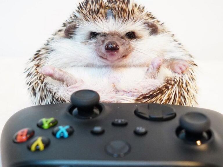 Microsoft annunci game awards 2020 Greenberg Xbox