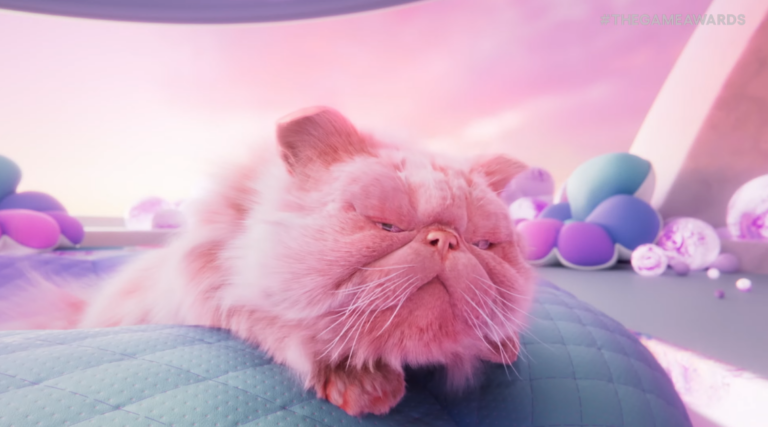 Catly Dress Up Game The Game Awards 2024