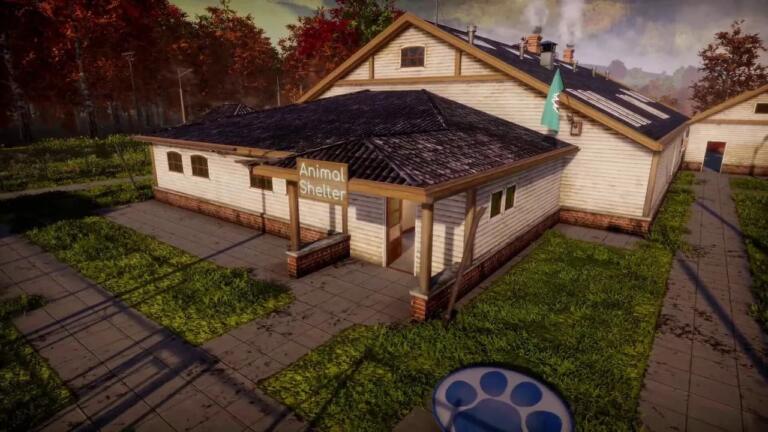 Animal Shelter 2: Games Incubator dona 10.000 dollari a veri rifugi per animali