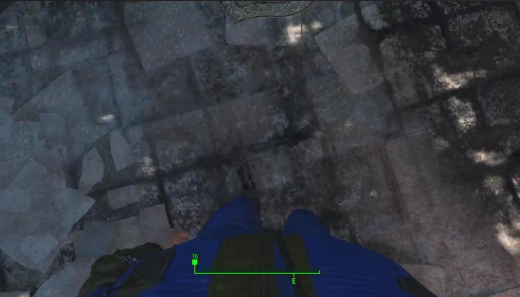 True First Person Nexus Mod Fallout 4