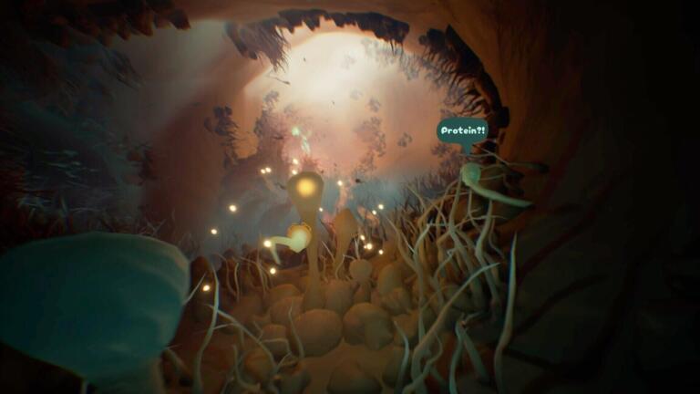 Una caverna sotterranea illuminata da piccole luci, con radici intrecciate sul fondo.