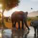 Screenshot in-game ufficiale di Planet Zoo 2 con la gestione del parco zoologico