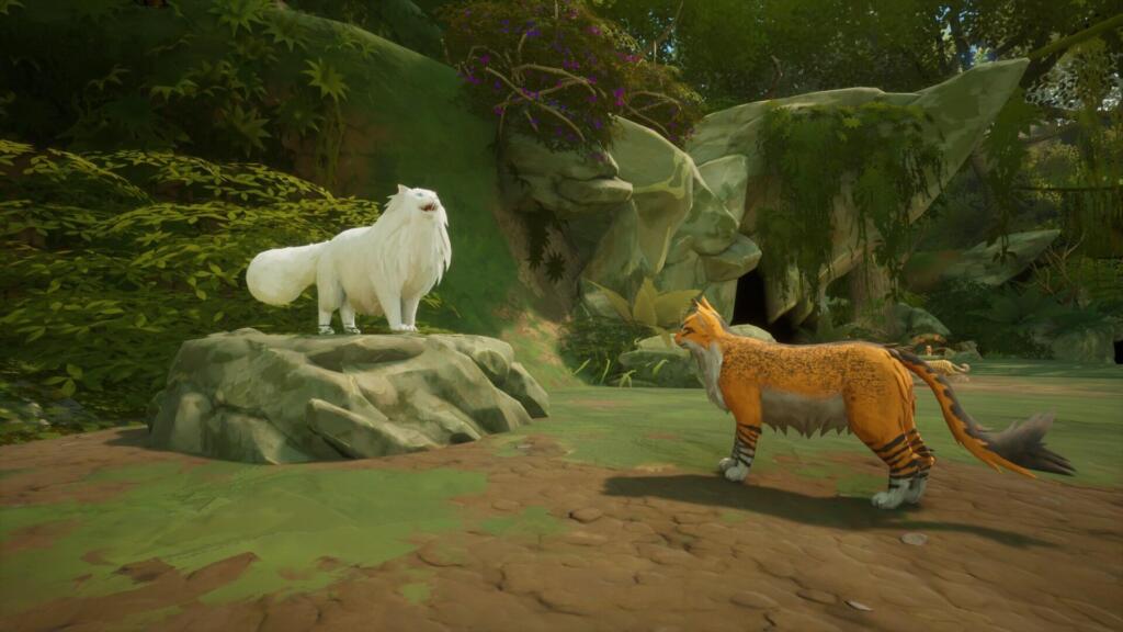 Un gatto bianco dal pelo lungo su una roccia e un gatto arancione a strisce in una radura della foresta, in una scena di Warrior Cats: Clans of the Forest.