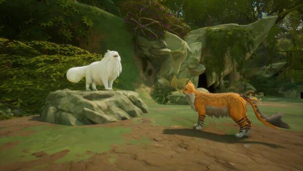 Un gatto bianco dal pelo lungo su una roccia e un gatto arancione a strisce in una radura della foresta, in una scena di Warrior Cats: Clans of the Forest.
