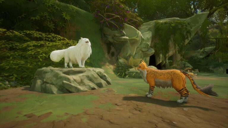 Un gatto bianco dal pelo lungo su una roccia e un gatto arancione a strisce in una radura della foresta, in una scena di Warrior Cats: Clans of the Forest.